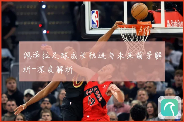 佩泽拉足球成长轨迹与未来前景解析-深度解析