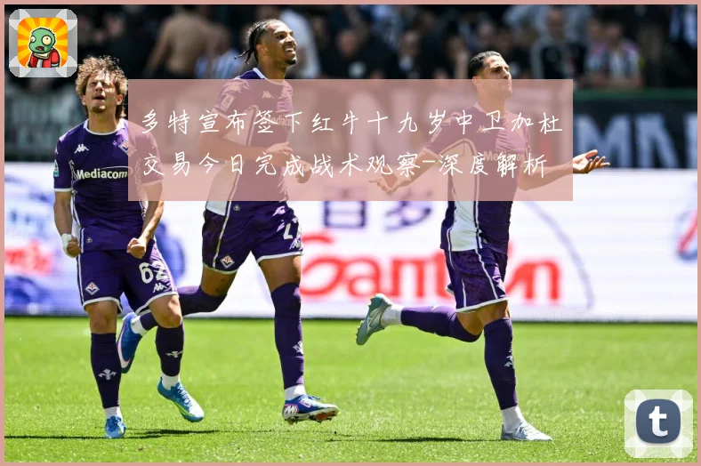 多特宣布签下红牛十九岁中卫加杜交易今日完成战术观察-深度解析